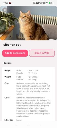 Screenshot_2026-09-04-11-03-44-413_cat.scanner.cat.identifier.jpg