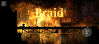 Screenshot_20240516-125157_Braid.png
