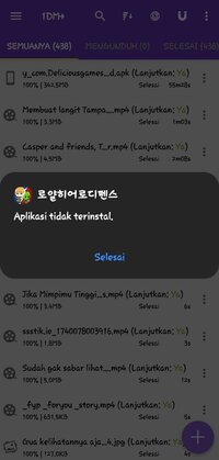 Screenshot_20250221-223639_Package installer.jpg