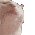 6.setitik.site_16218591984984.gif
