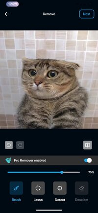 Screenshot_2025-10-19_002928.jpg