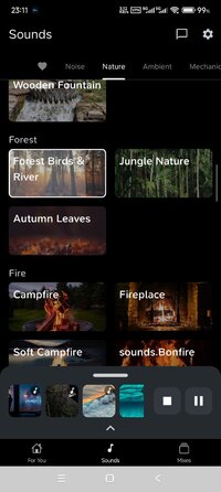 Screenshot_2025-10-25-23-11-24-151_com.sleep.sounds.noise.rain.jpg