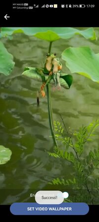 Screenshot_20251114_170911_viet.dev.apps.autochangewallpaper.jpg