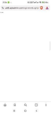 Screenshot_2025-11-23-13-56-04-707_com.brave.browser.jpg
