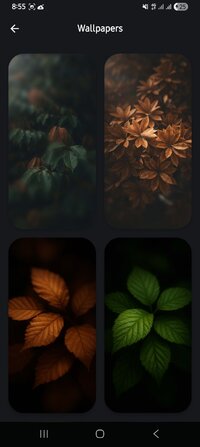 Screenshot_20251204_205542_Zyra Icon Pack.jpg