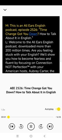 Screenshot_2025-12-09-05-45-52-080_com.allearsenglish.aee.jpg