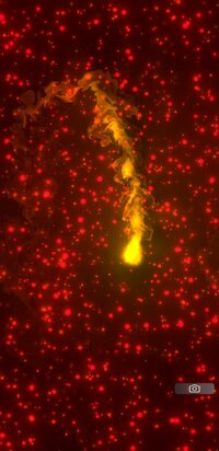 Screenshot_20251211-182147_Fluids.jpg