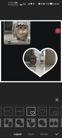 Screenshot_20260203_044526_mobi.charmer.fotocollage.jpg