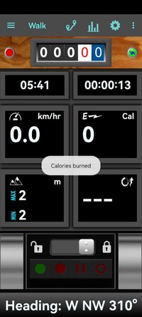 Screenshot_20260203_054157_com.discipleskies.android.pedometer.jpg