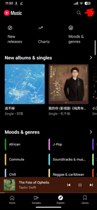 Screenshot_20260207-233050_YT_Music_RVX2.png