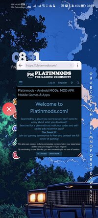 Screenshot_20260508_083111_bitpit.launcher.jpg