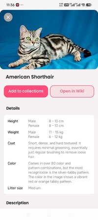 Screenshot_2026-07-04-23-37-00-027_cat.scanner.cat.identifier.jpg