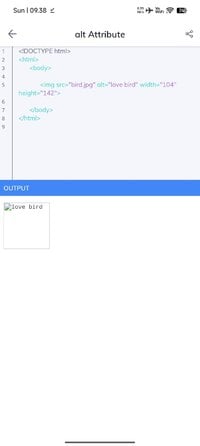 Screenshot_2026-07-12-21-38-37-826_web.webdev.webdevelopment.createwebsite.makewebsite.learnwe...jpg