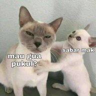 meenxilox