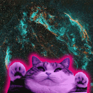 ||Mac||√