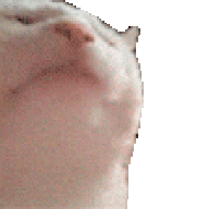 Canhheo