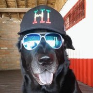 CARLOSP25G