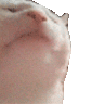 ꧁༒𒈞☬ᤂℌ໔⅒๖ۣۣۜX℟₦ツℜ؏ৡ☬𒈞༒꧂