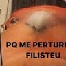 ILouco