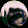 bla05