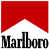 lemmonpeppasteppa