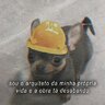 ChapolinLS