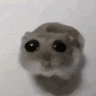 Nahxd
