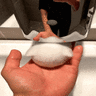 begot