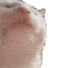 杜恺文