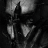 AUDUBON6666