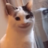 wankoroy