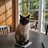 Convolutionx